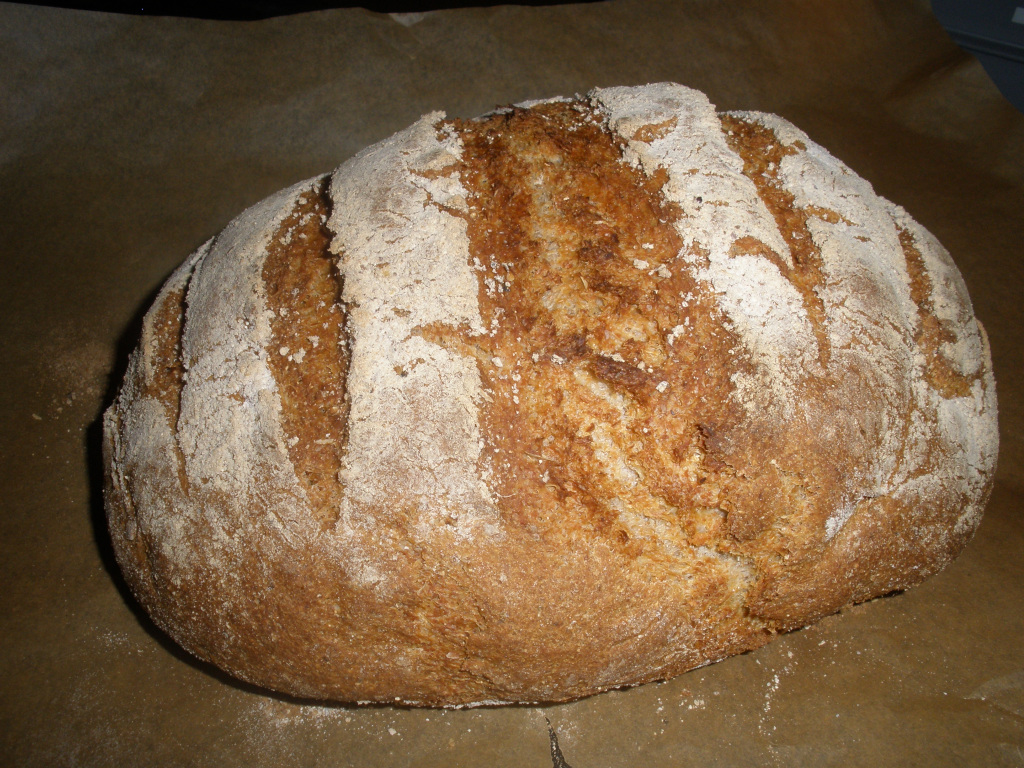 Pain de blé complet