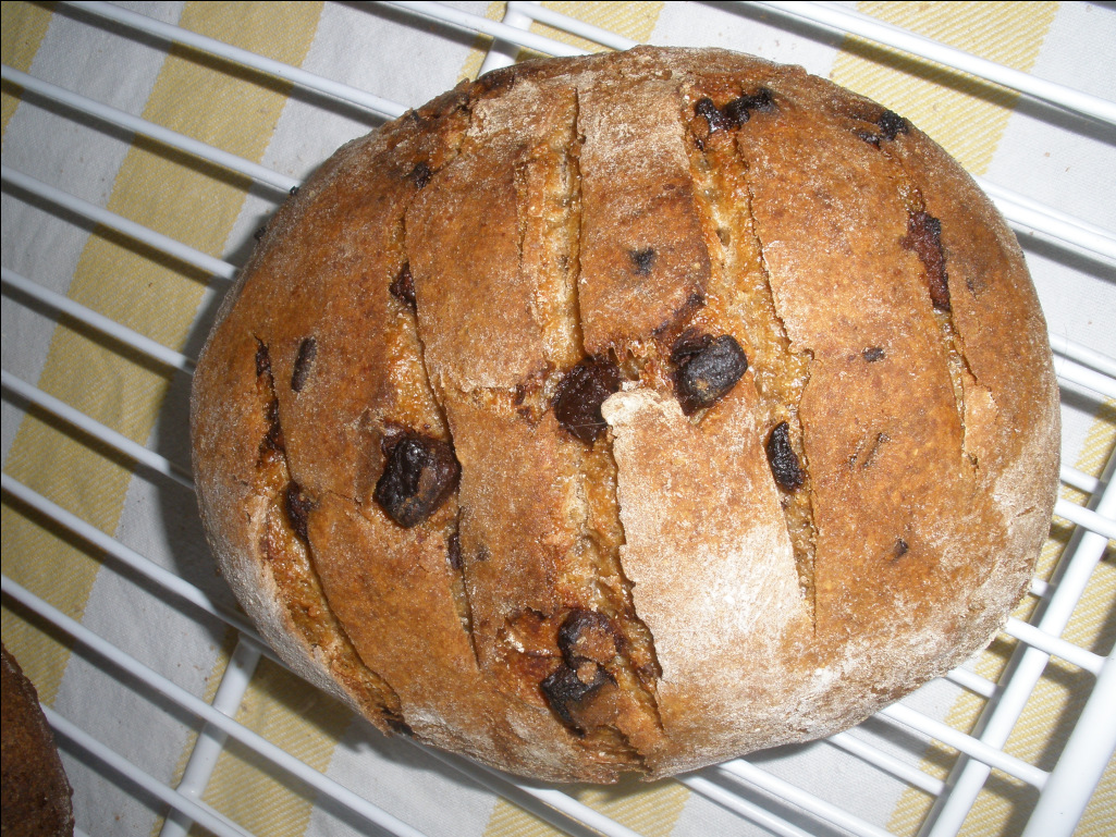 Pépite de petit épeautre